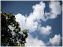 Day Clouds