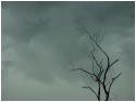 Dismal I
