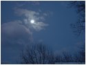 Moonlight